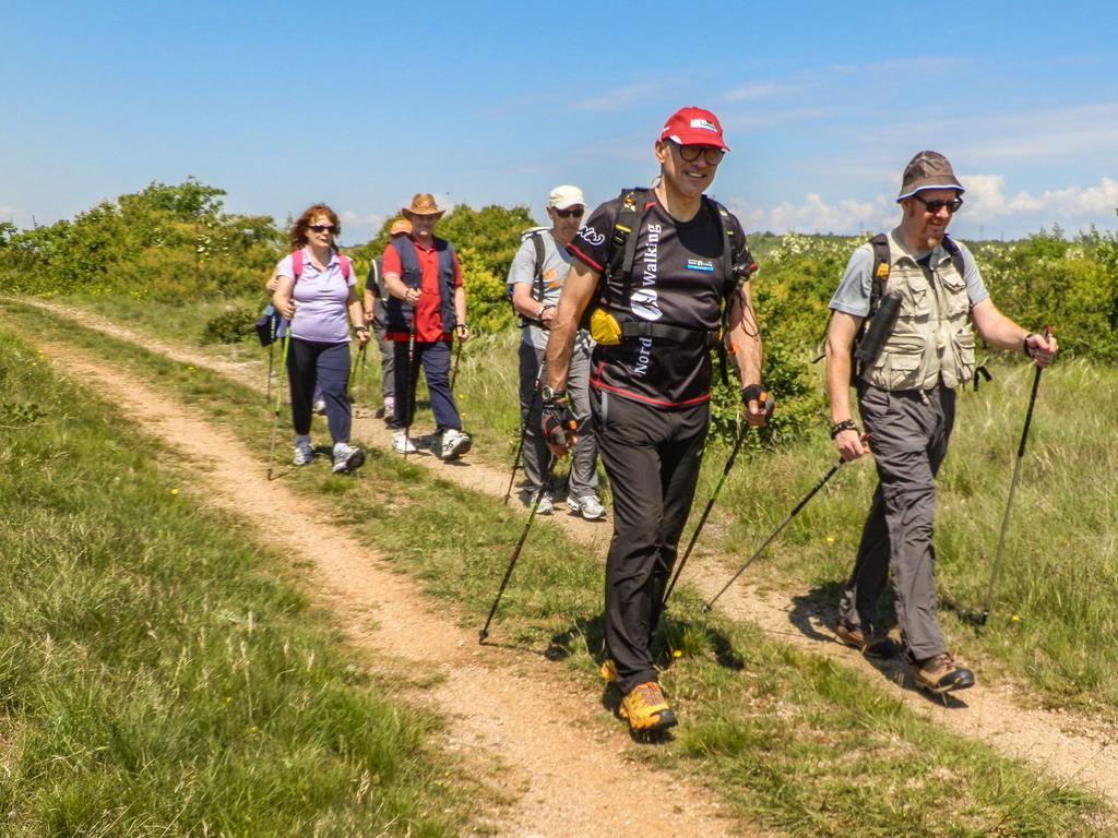 福利亚诺 Bio-Agriturismo Parco Rurale "Alture Di Polazzo"旅馆 外观 照片